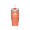 Stanley Adventure Quencher Tumbler 23oz 1 Stanley Adventure Quencher Tumbler 23oz -Outdoor Camping Gear 10 08481 021